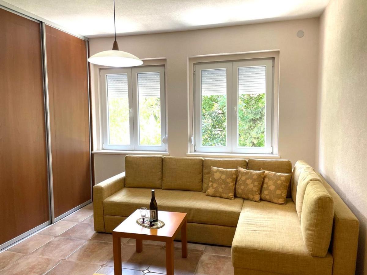 Blue Diamond Apartment Ohrid Bagian luar foto